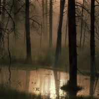goth forest